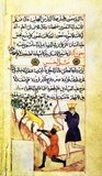 This fable by Luqman, well-known in Arabic and Turkish folk literature, is the moral story of a conceited stag that is very proud of his great antlers but ashamed of his skinny legs. One day, hunters chase him and he escapes thanks to his speed and his spindly legs, but runs between some trees. He becomes trapped in the branches of the trees due to his large antlers and is killed by the hunters.